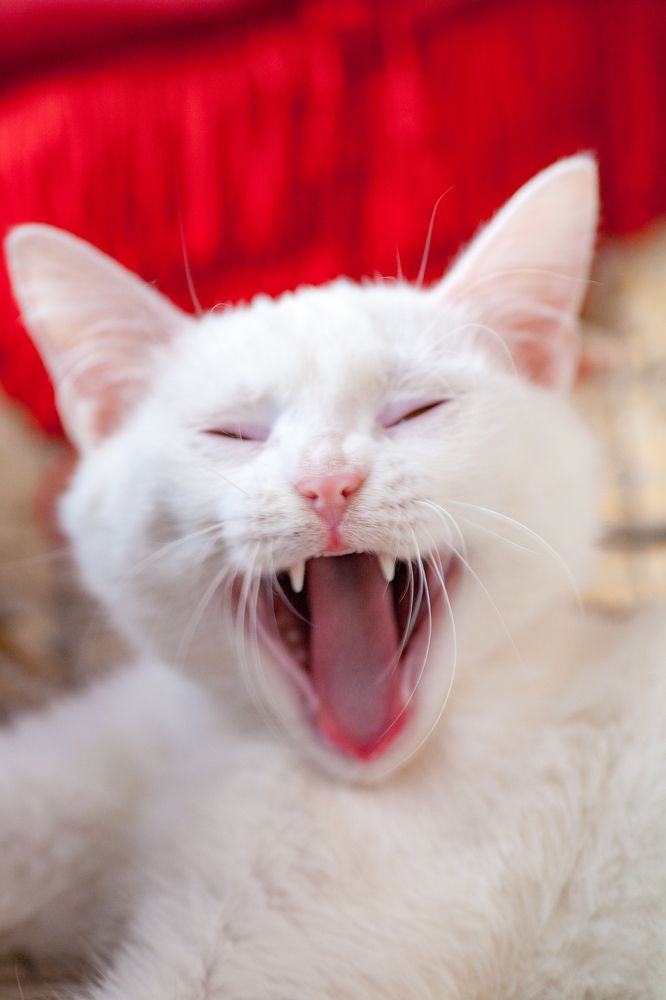 Photograph by Максим Миронов