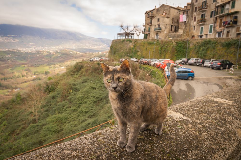 Photograph by Максимова Дария