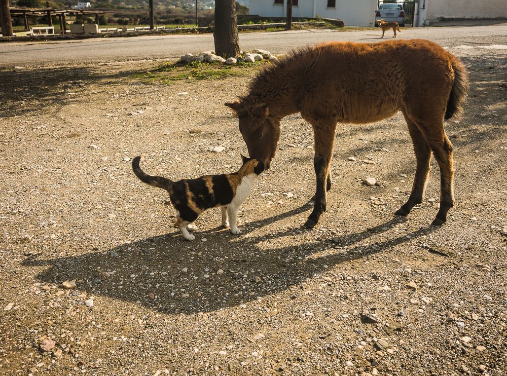 Photograph by Максимова Дария