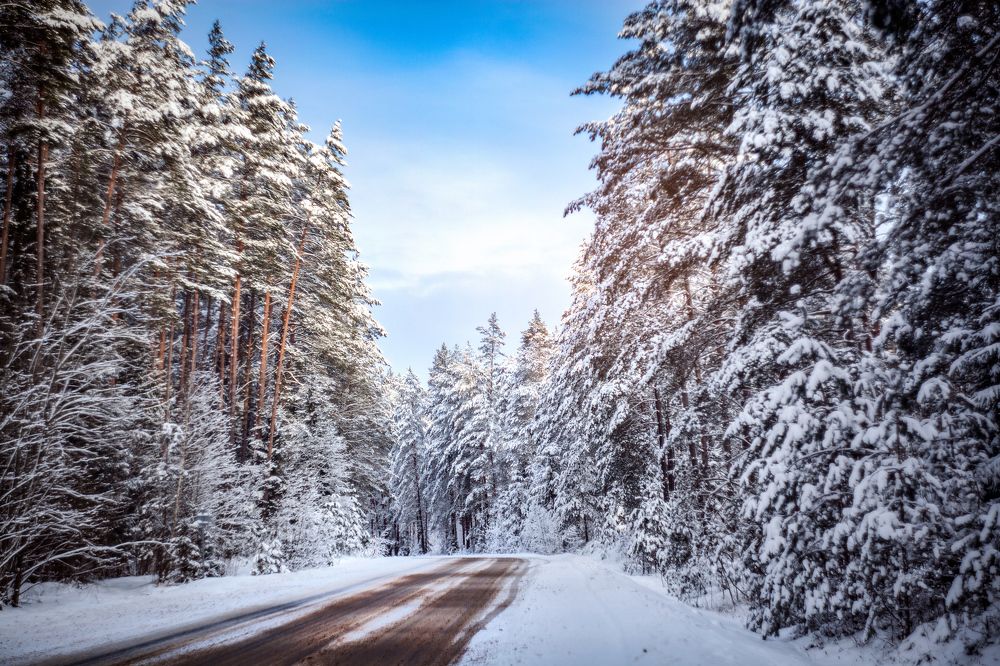 Фотография автора Кристина Догодька