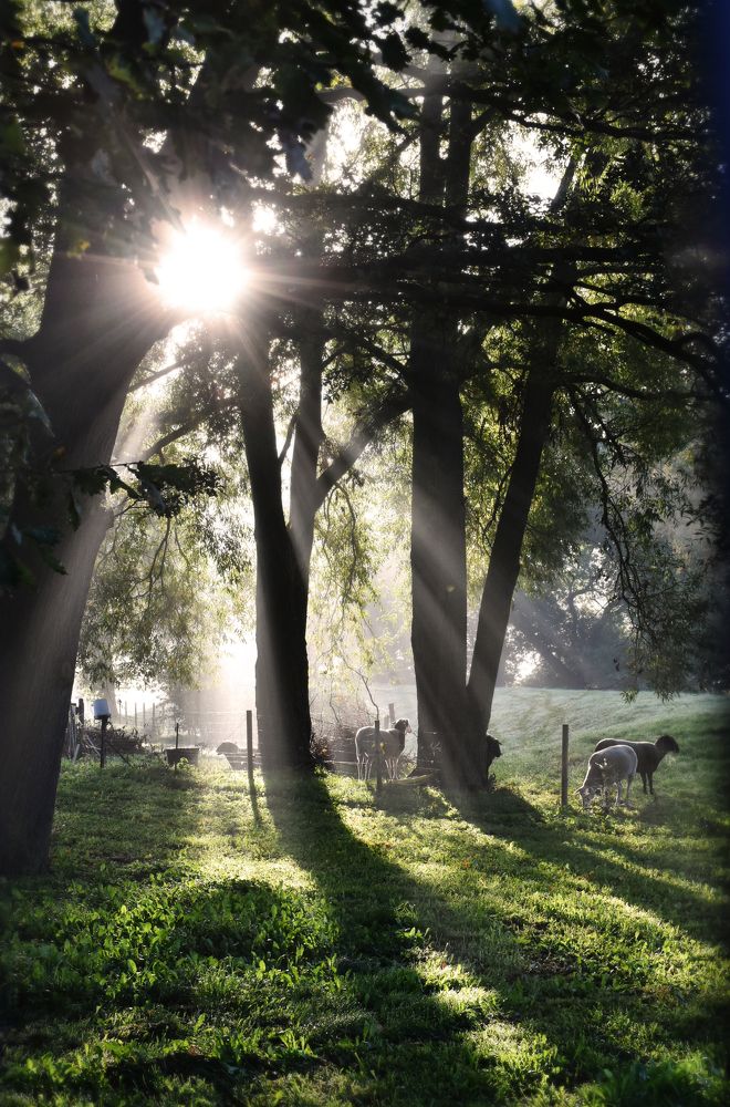 Photograph by Gabriella Szabo