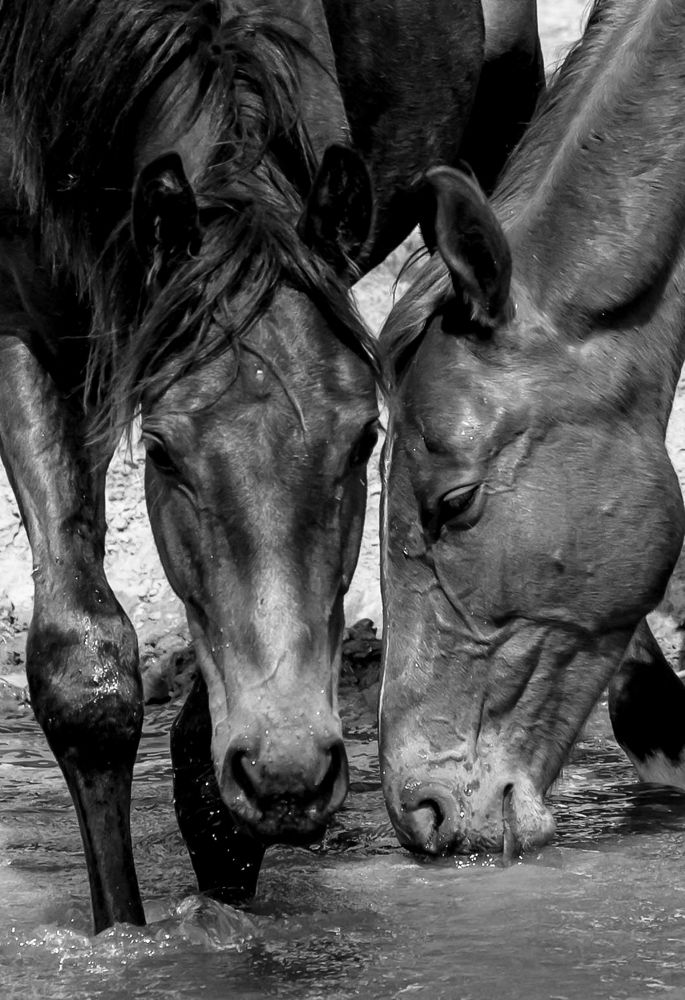 Photograph by Диана Бородзе