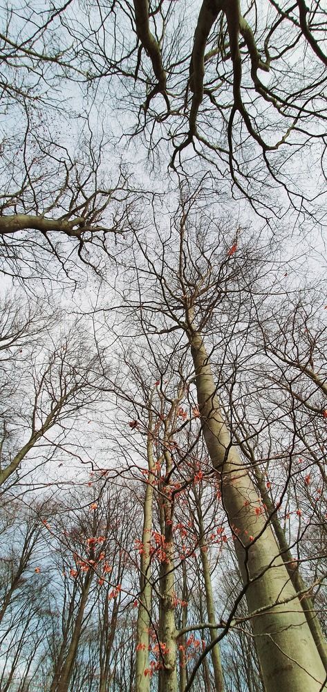 Photograph by Elisabeth Vinther