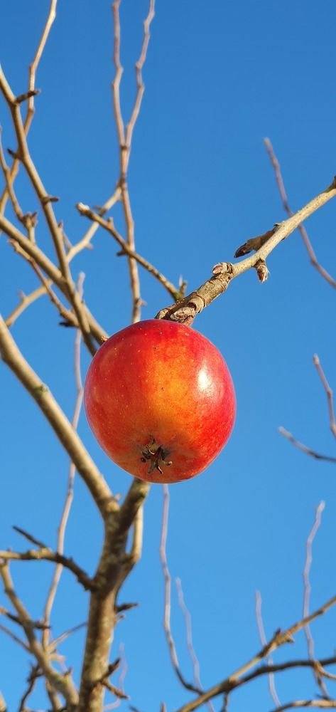 Photograph by Elisabeth Vinther