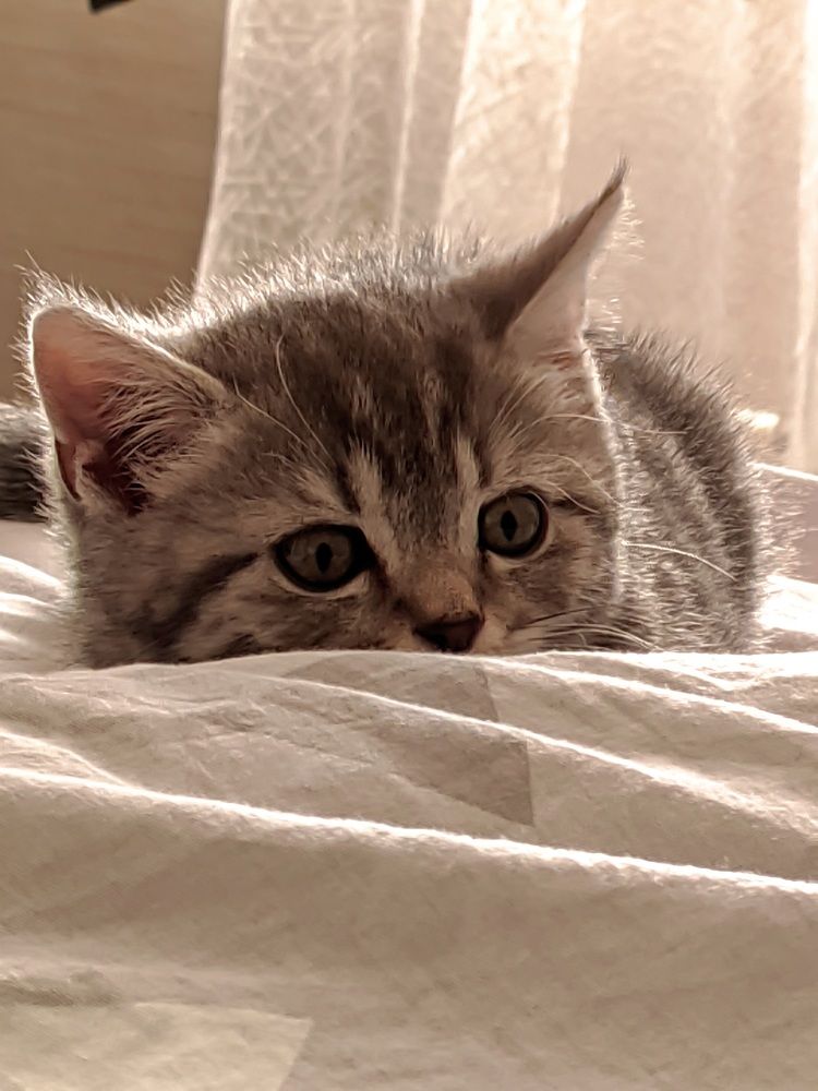 Photograph by alexander kryuchkov