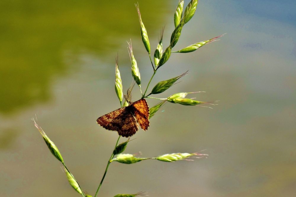 Photograph by backareva irina