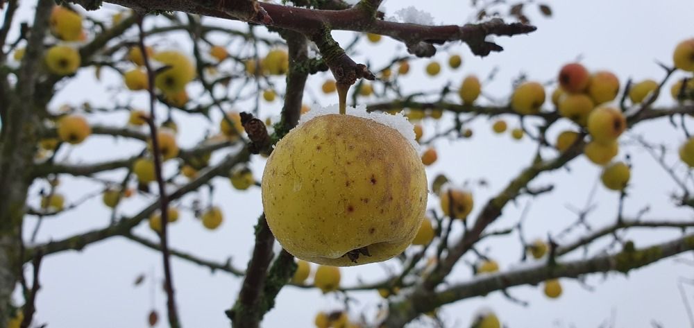 Photograph by Elisabeth Vinther