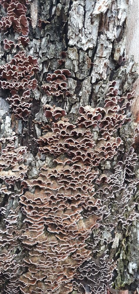 Photograph by Elisabeth Vinther