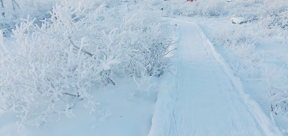 Photograph by Elisabeth Vinther