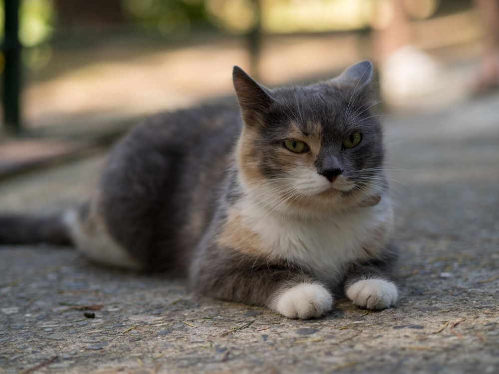 Photograph by Анна Шейко