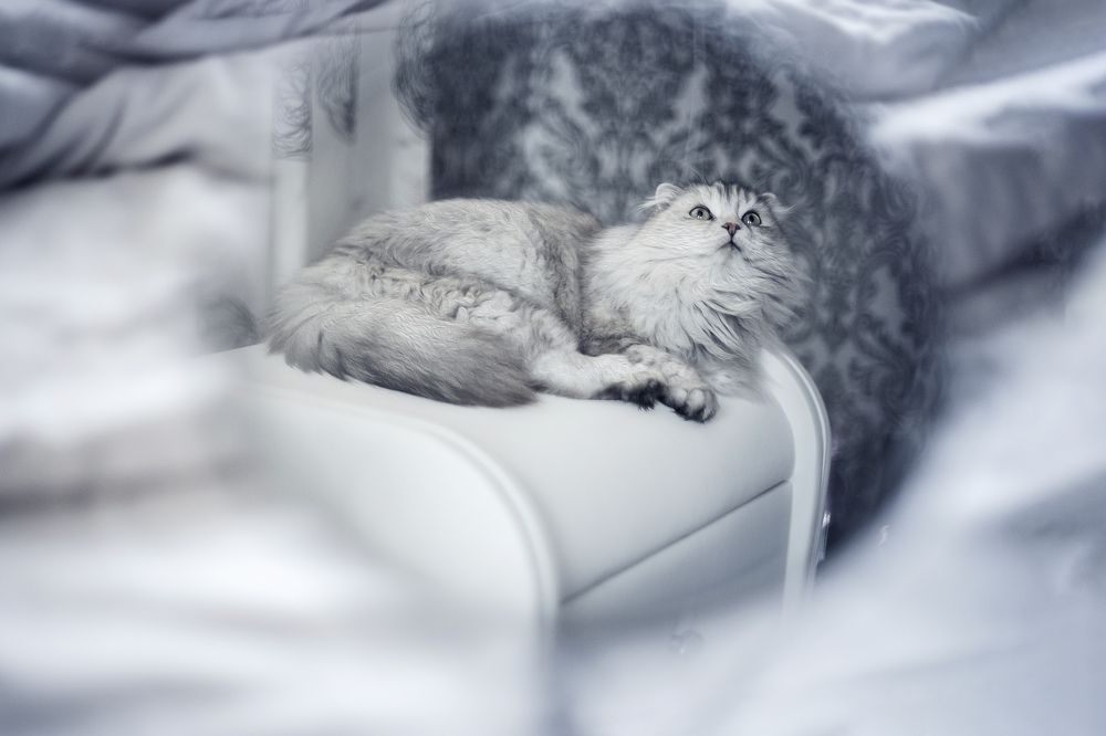 Photograph by Юлия Петренко