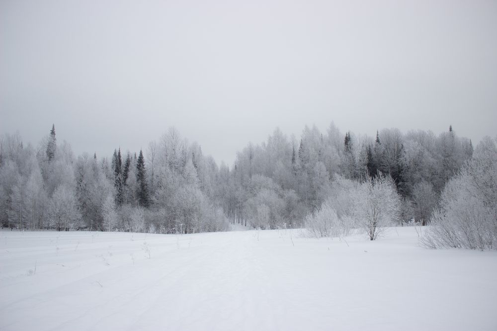 Photograph by Фистина Мария