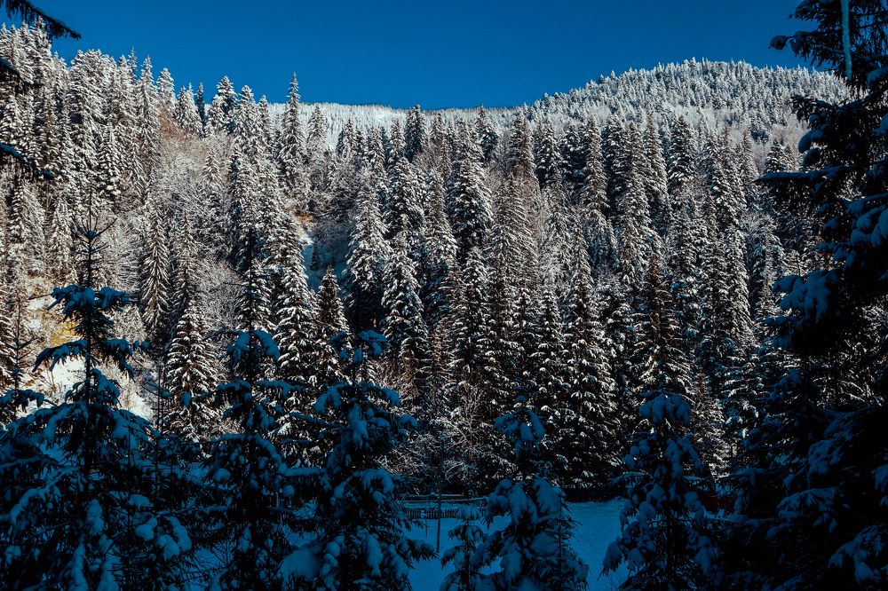 Photograph by Vladislav Voronovich