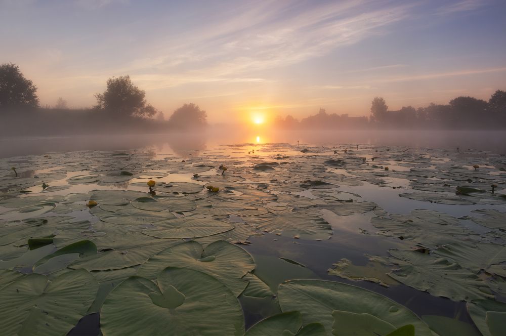 Photograph by Олонцев Андрей