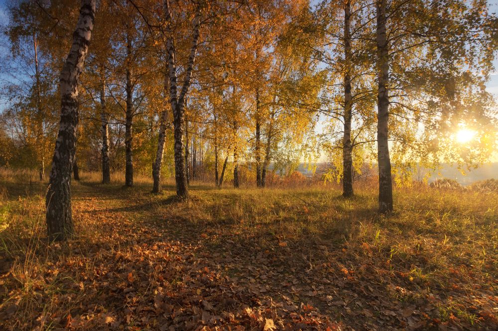 Photograph by Олонцев Андрей