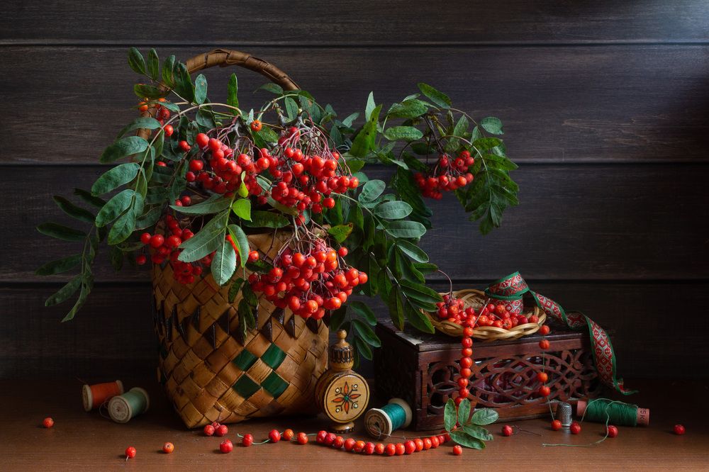 Рябиновые бусы