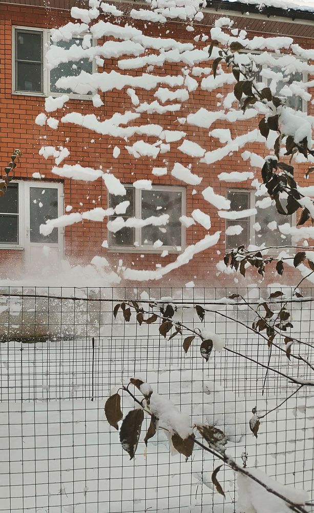 Photograph by Елена Алексеева