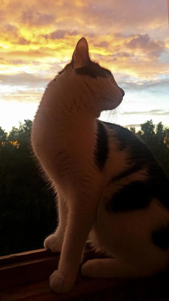 Photograph by Валентина Ильиных