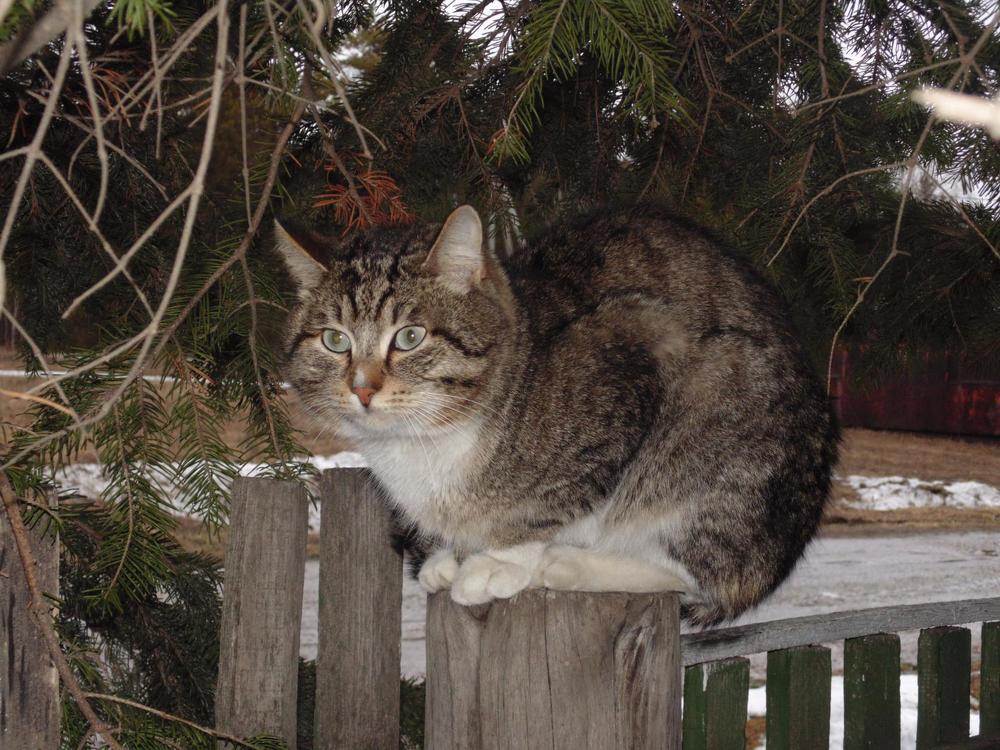 Photograph by Валентина Ильиных