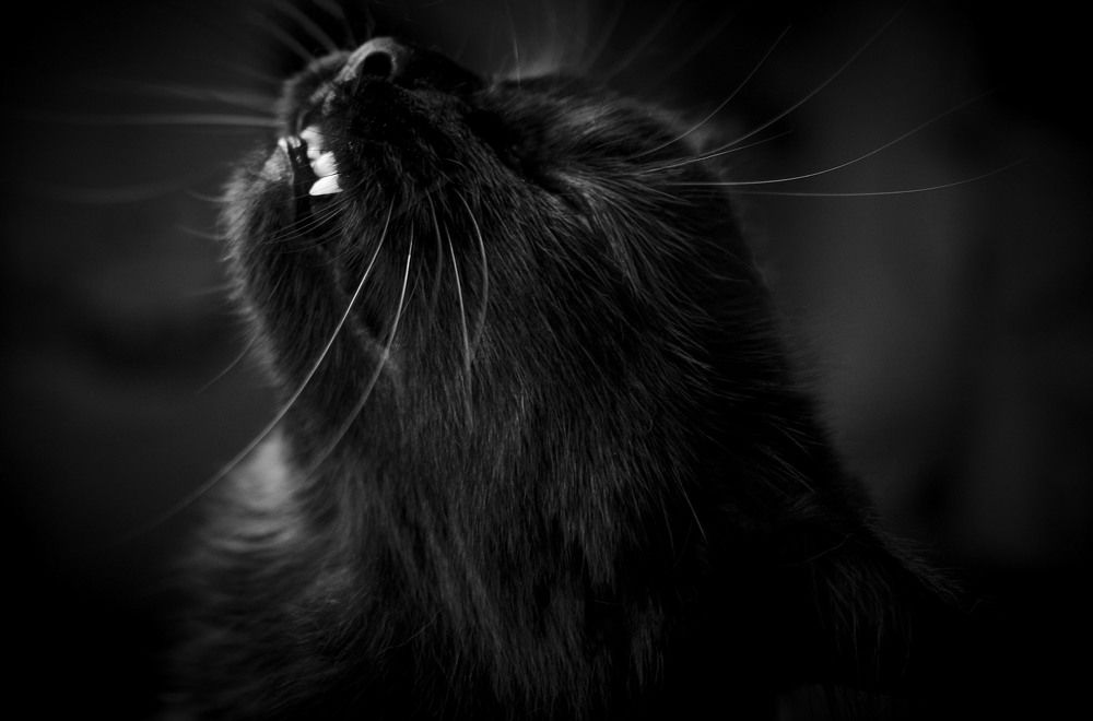 Photograph by Юлия Лушникова