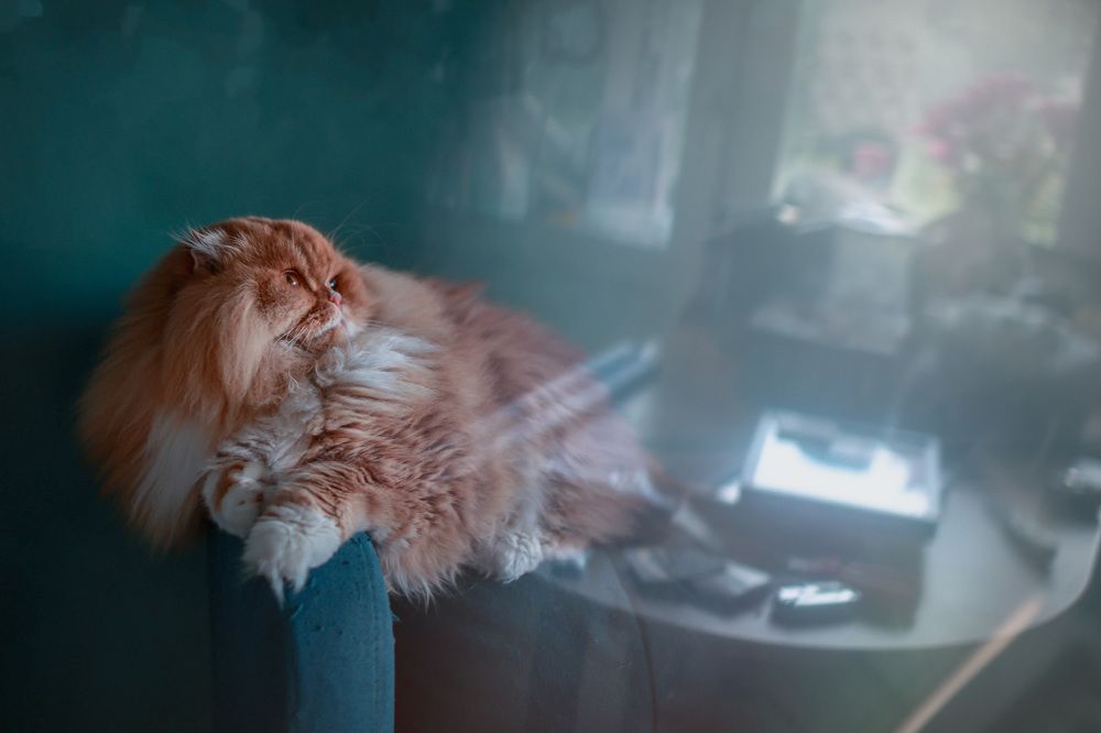 Photograph by Ольга Веретенникова