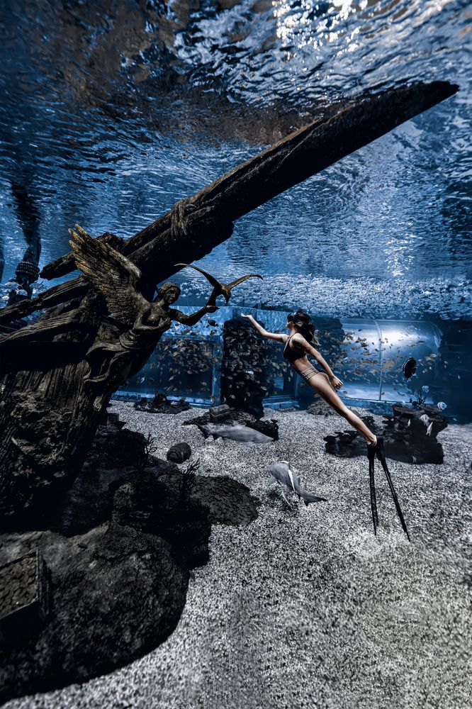 Photograph by Longwen Yang