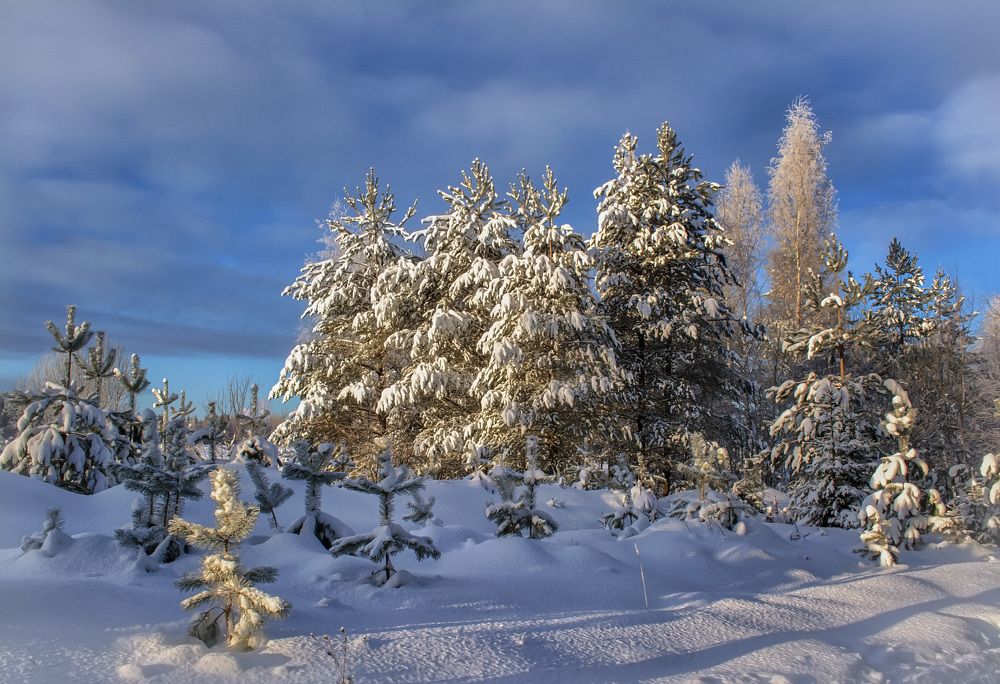 Очарование матушки Зимы.