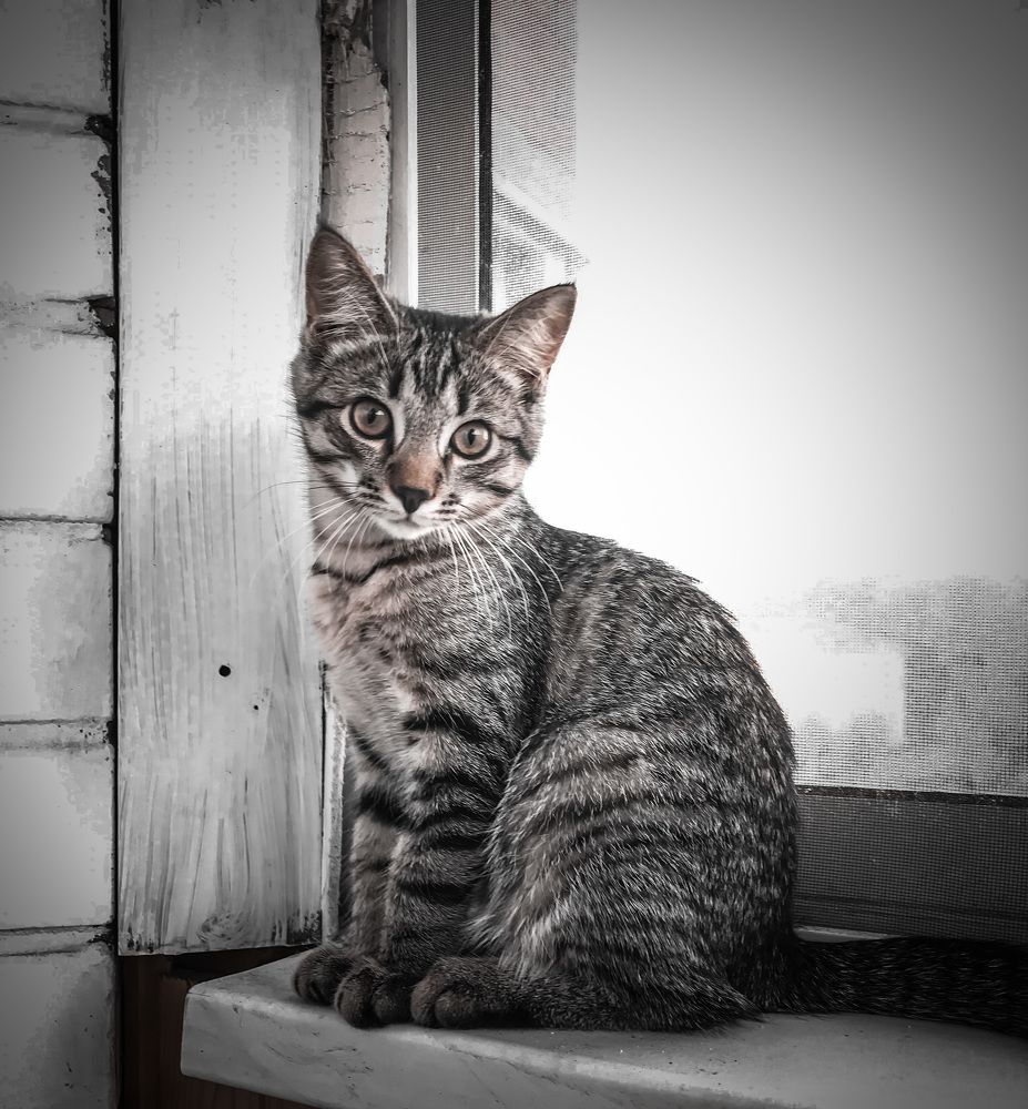 Photograph by Дмитрий Гришкевич