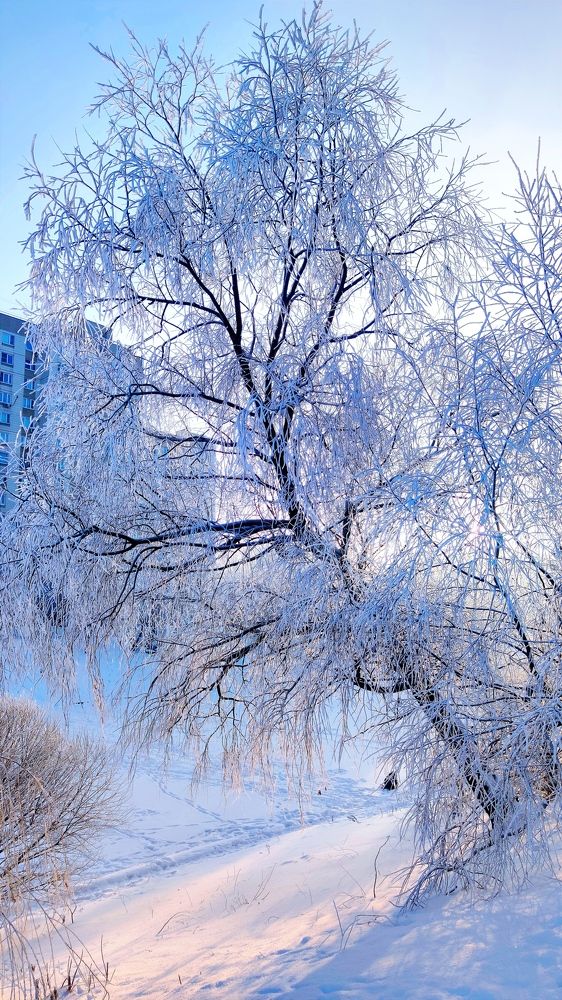 Photograph by Yulian Mr