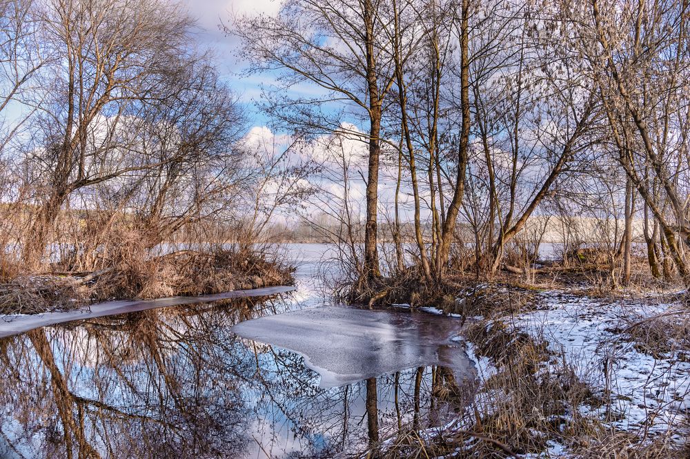 Photograph by Сивенок Елена