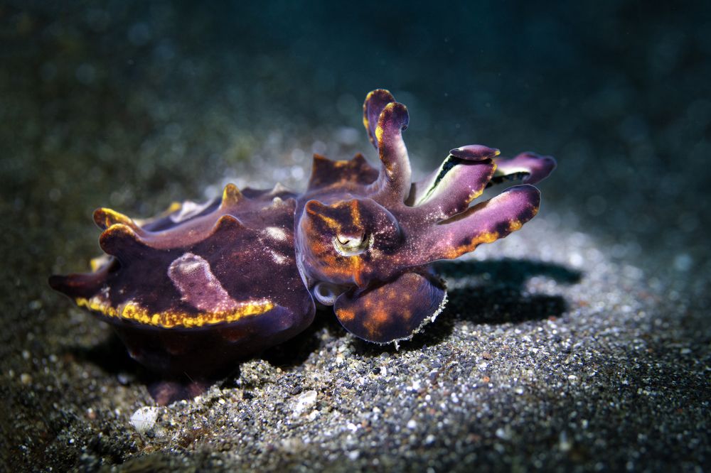 Photograph by Дериглазова Марина Владимировна