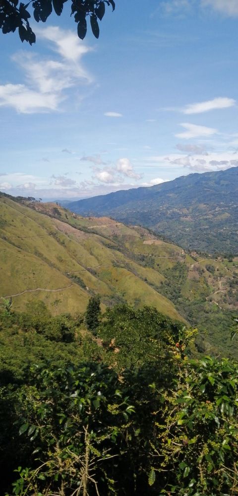 Photograph by Walter Quiros Chevez