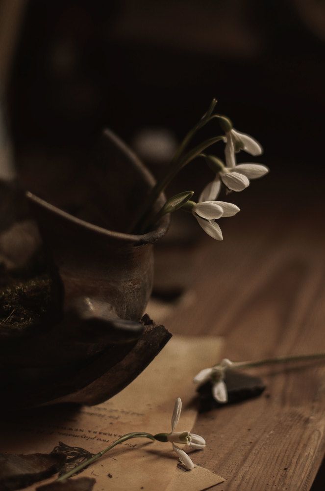 Photograph by Ирина Столбовая