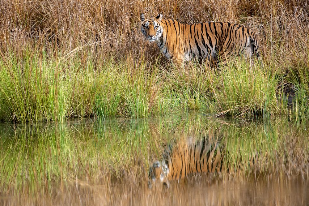Photograph by Rajib Kumar Dana