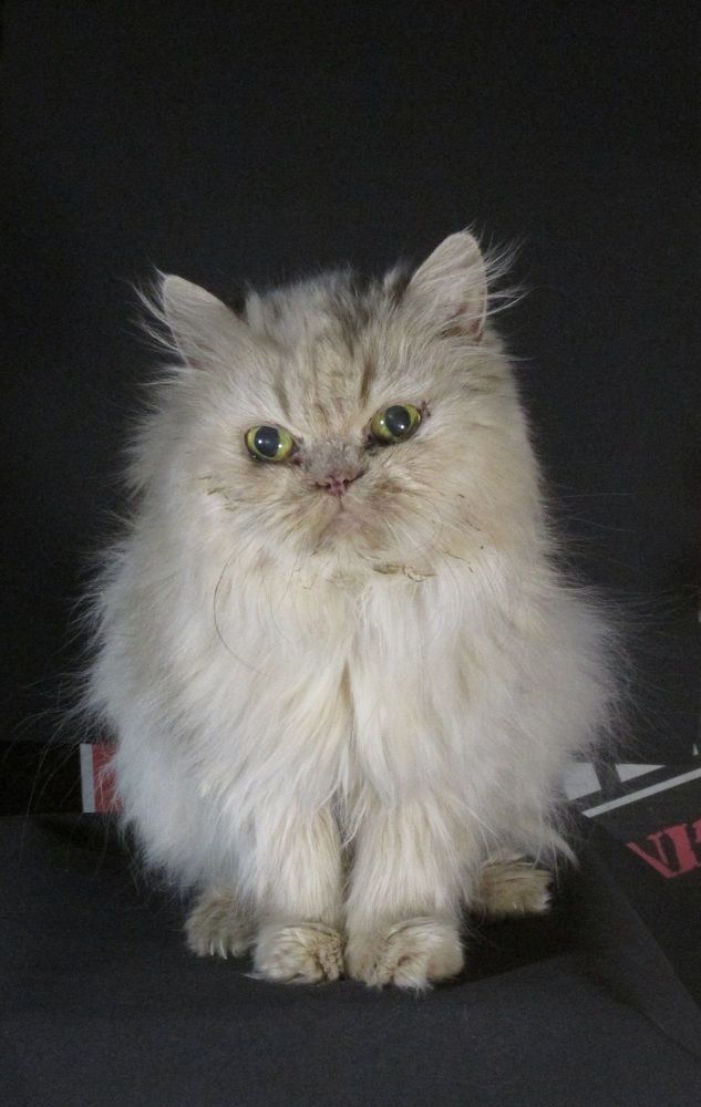 Photograph by Аlessandro