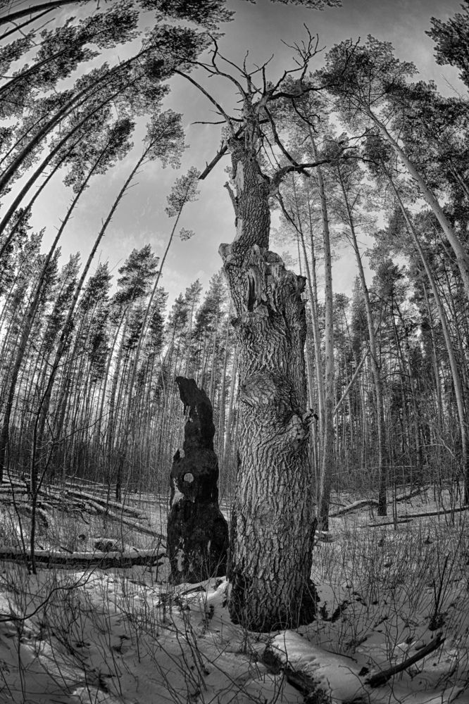 Photograph by Илья Тюрин