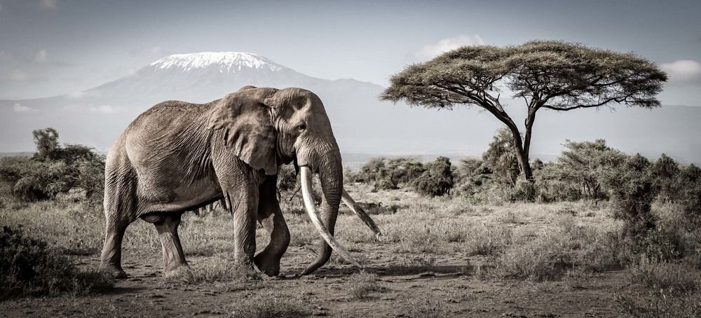 Фотография автора Clint Ralph