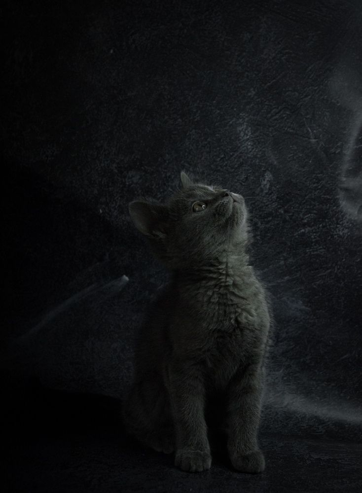 Photograph by Артём Серегин