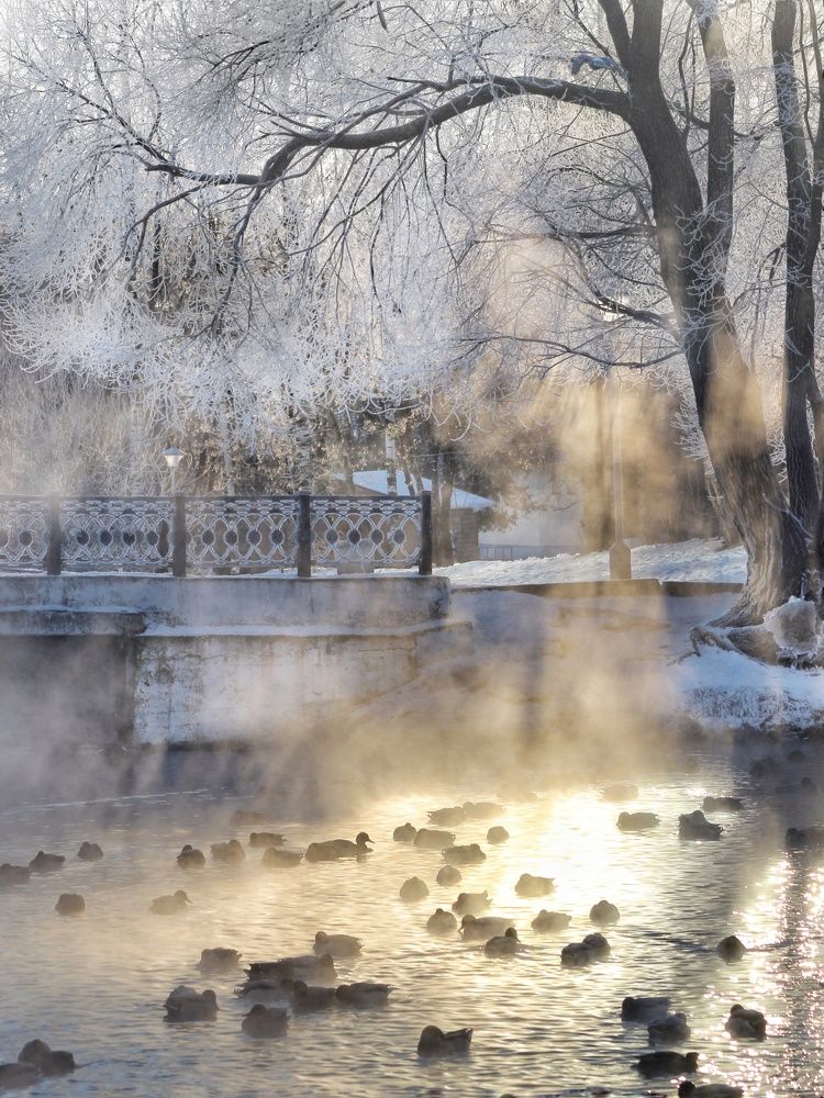 Photograph by Тамара Караваева