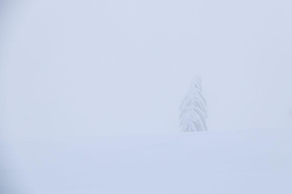 Photograph by George Alexandru Ghiuro