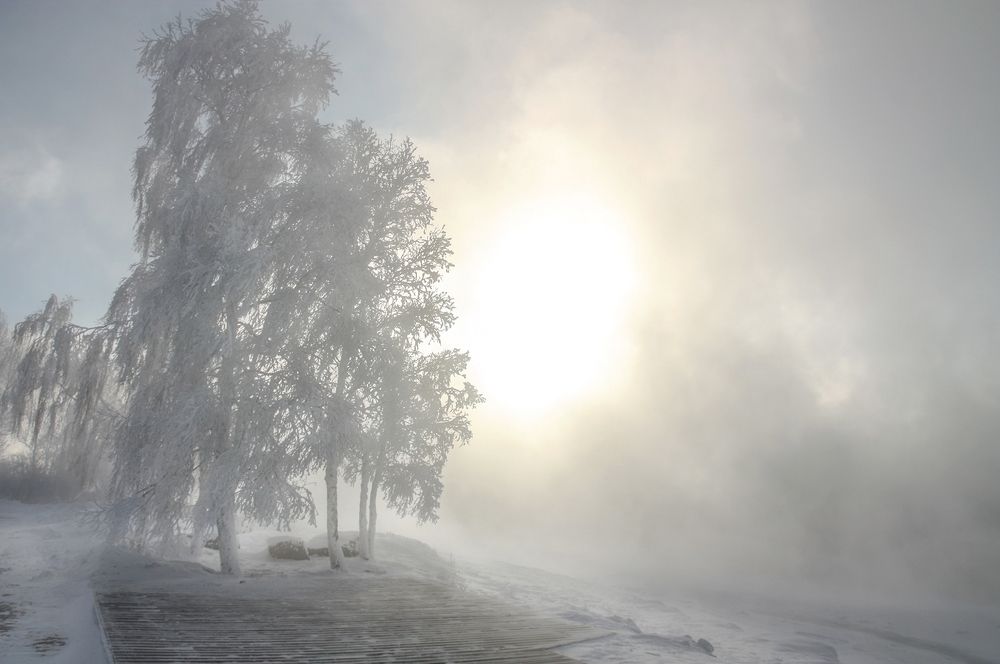 Photograph by Ольга Литвинцева