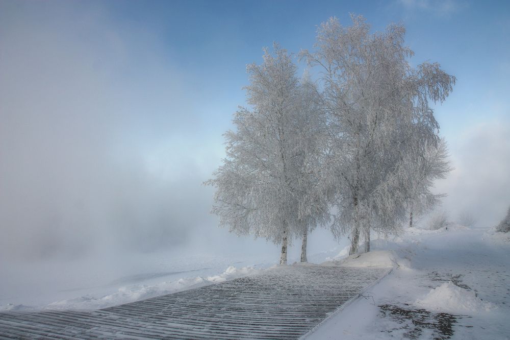 Photograph by Ольга Литвинцева
