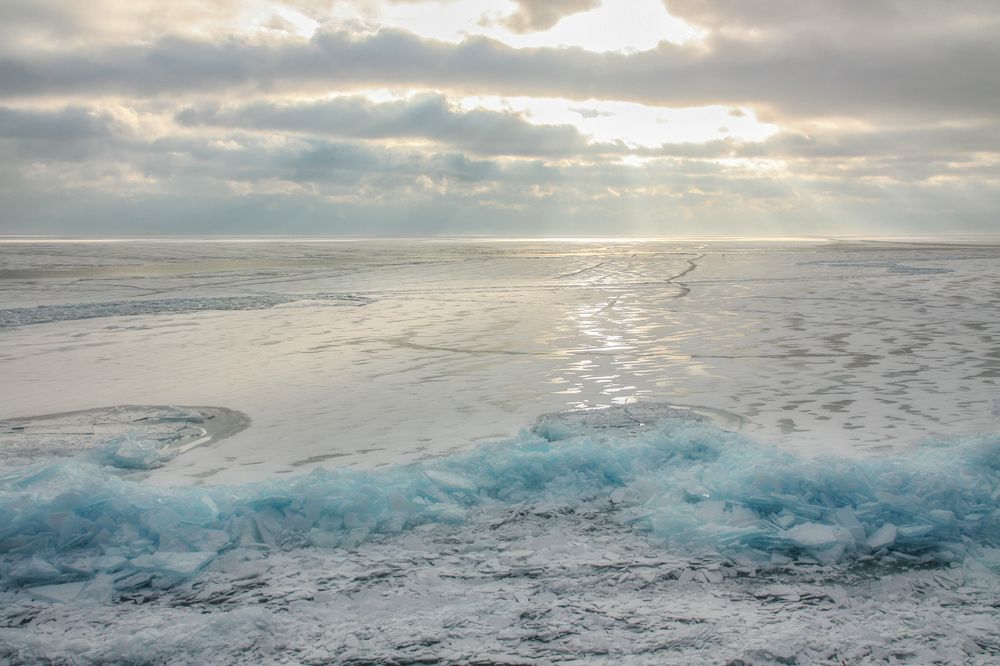 Photograph by Ольга Литвинцева