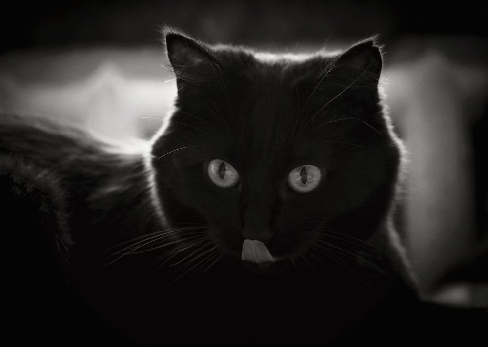 Photograph by Юлия Лушникова