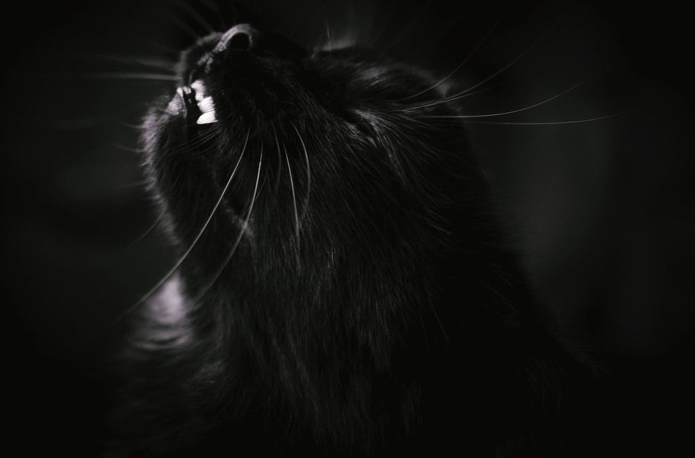 Photograph by Юлия Лушникова