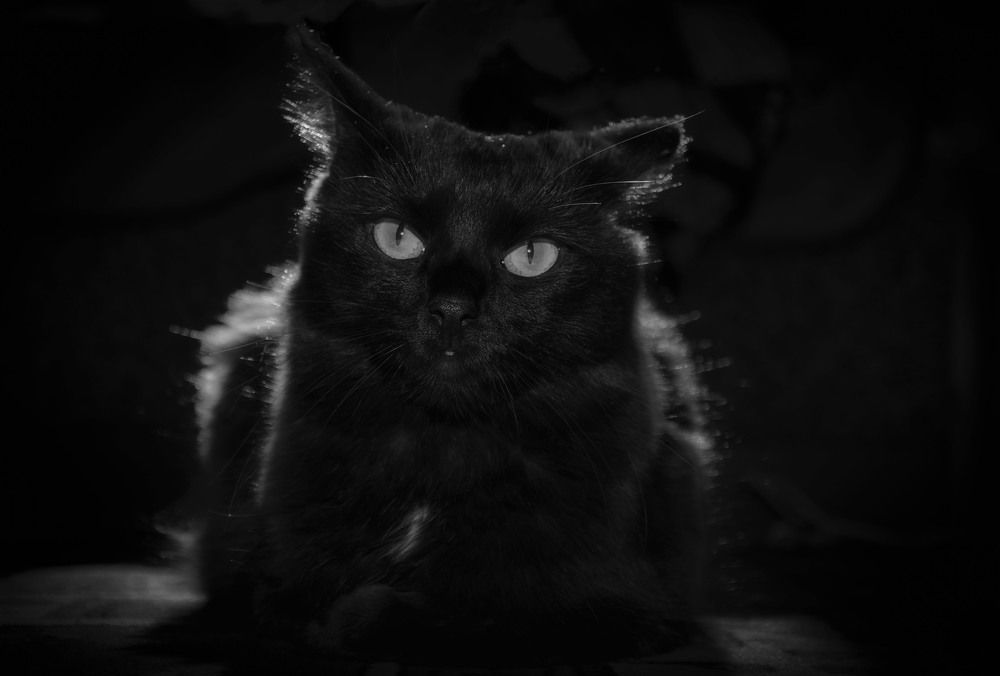 Photograph by Юлия Лушникова