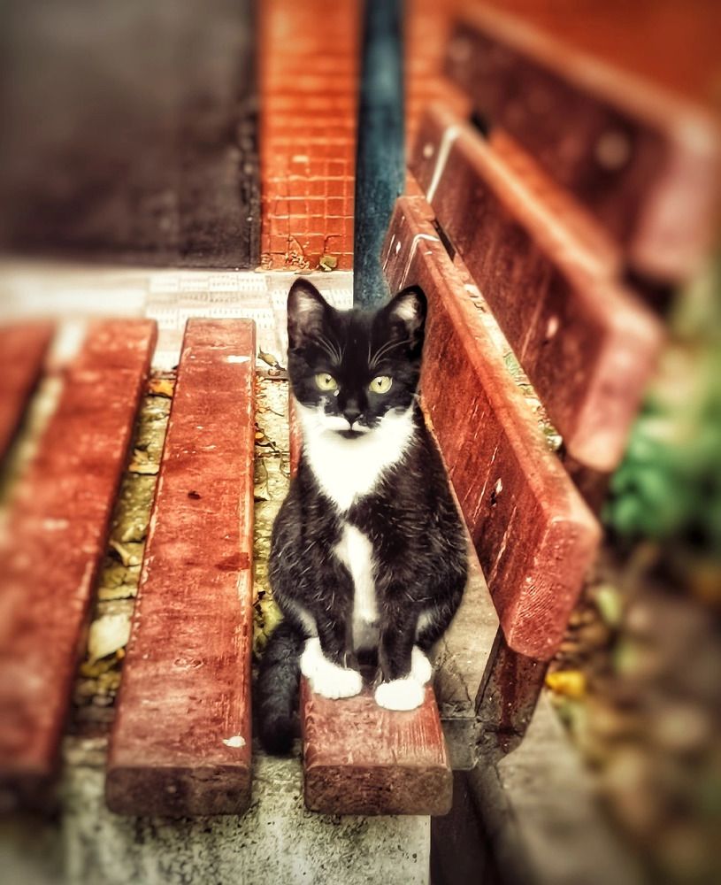 Photograph by Дайана