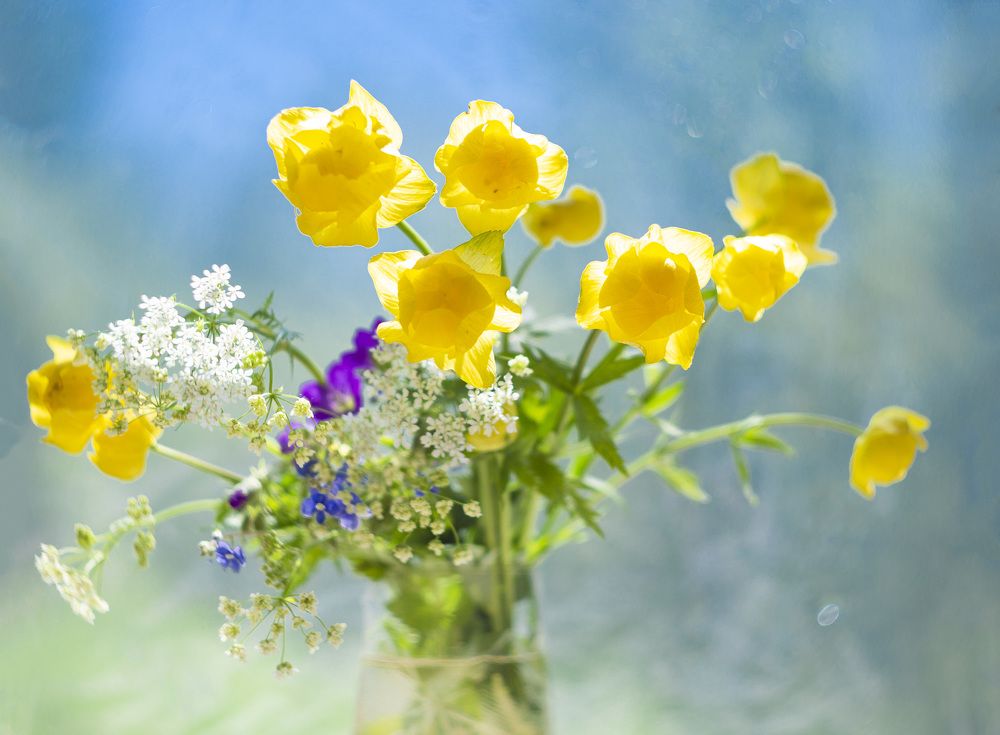 Photograph by Наталия Колтакова