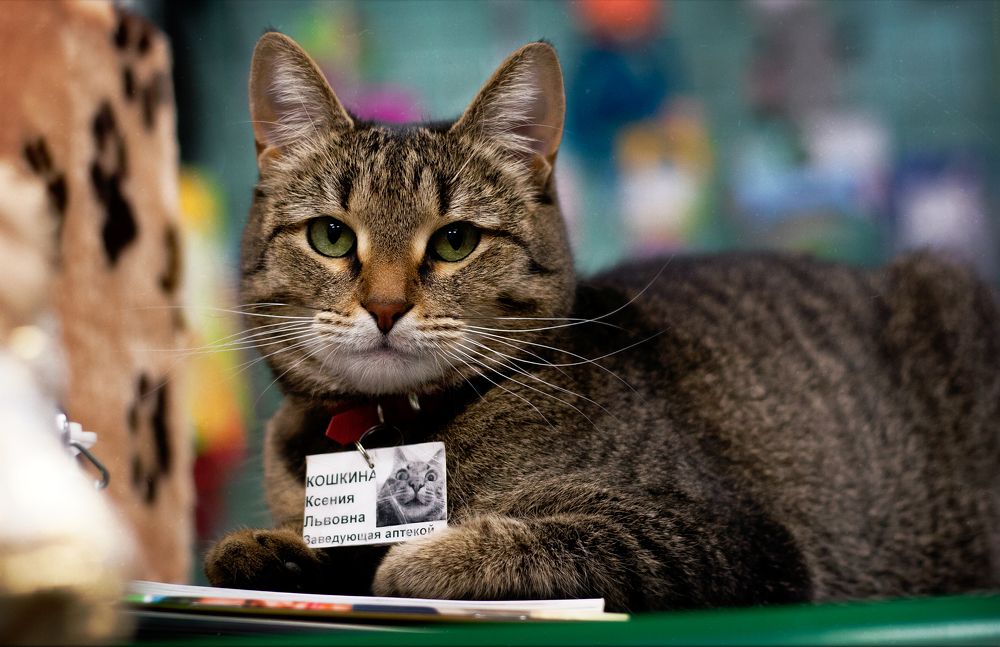 Photograph by Lisnov742