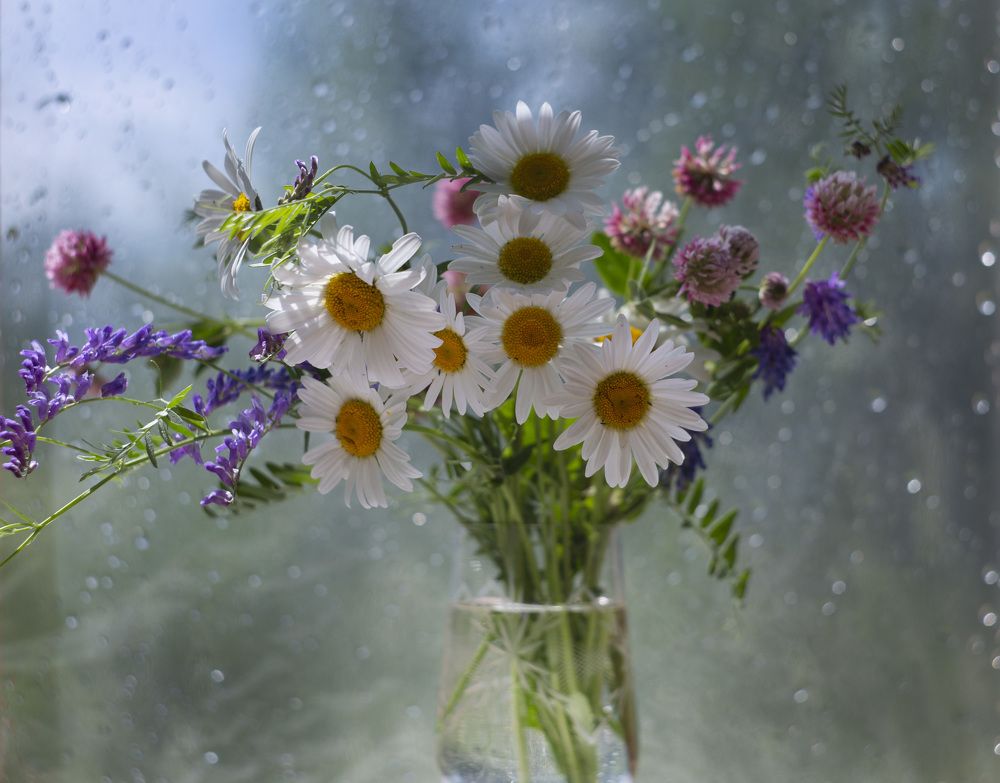 Photograph by Наталия Колтакова